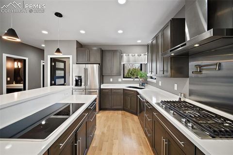 Tiny photo for 3425 Palmer Hill Court, Colorado Springs, CO 80907 (MLS # 6657827)