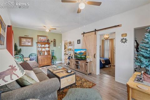 Tiny photo for 331 E Golden Avenue, Cripple Creek, CO 80813 (MLS # 3902393)