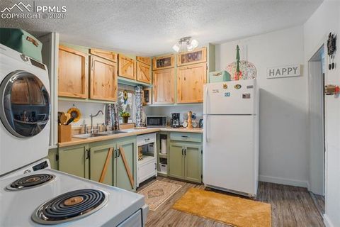 Tiny photo for 331 E Golden Avenue, Cripple Creek, CO 80813 (MLS # 3902393)