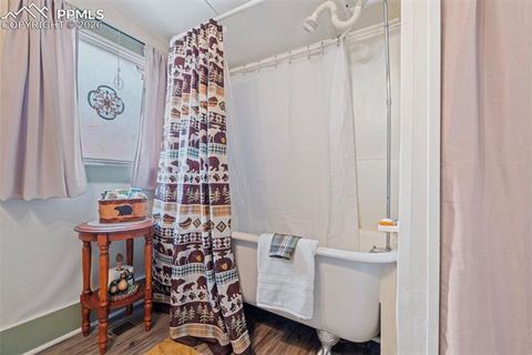 Tiny photo for 331 E Golden Avenue, Cripple Creek, CO 80813 (MLS # 3902393)