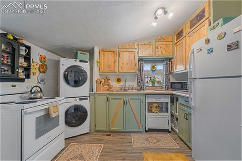 Tiny photo for 331 E Golden Avenue, Cripple Creek, CO 80813 (MLS # 3902393)