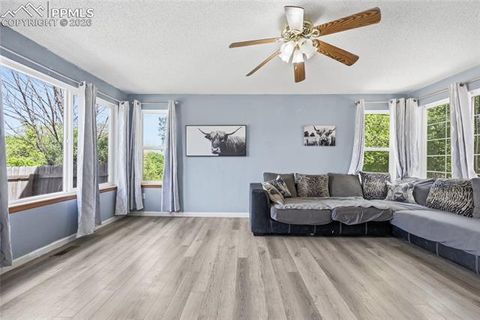Tiny photo for 990 Ridgebury Place, Fountain, CO 80817 (MLS # 6902539)