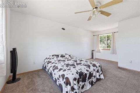 Tiny photo for 990 Ridgebury Place, Fountain, CO 80817 (MLS # 6902539)