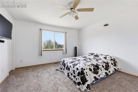 Tiny photo for 990 Ridgebury Place, Fountain, CO 80817 (MLS # 6902539)