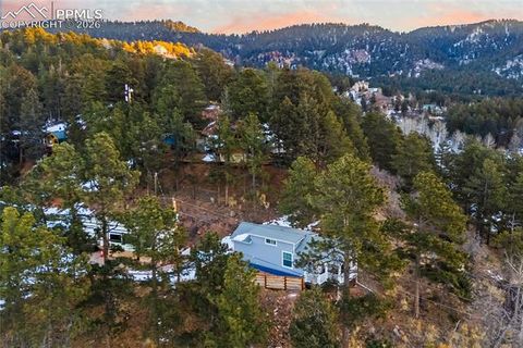 Tiny photo for 19253 E Highway 24 #19, Woodland Park, CO 80863 (MLS # 8099581)