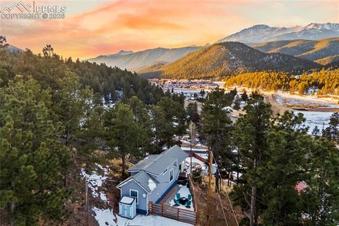 19253 E Highway 24 19 Woodland Park CO 80863