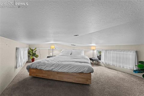 Tiny photo for 19253 E Highway 24 #19, Woodland Park, CO 80863 (MLS # 8099581)