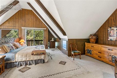 Tiny photo for 303 Ute Trail, Woodland Park, CO 80863 (MLS # 9128929)
