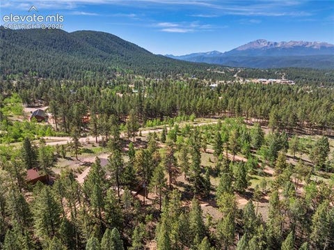 Tiny photo for 303 Ute Trail, Woodland Park, CO 80863 (MLS # 9128929)