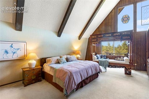 Tiny photo for 303 Ute Trail, Woodland Park, CO 80863 (MLS # 9128929)