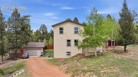 Tiny photo for 1625 N Mountain Estates Road, Florissant, CO 80816 (MLS # 9078967)