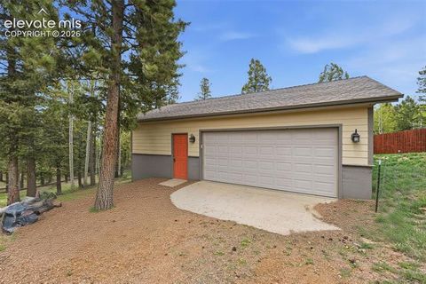 Tiny photo for 1625 N Mountain Estates Road, Florissant, CO 80816 (MLS # 9078967)