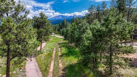 Tiny photo for 1075 S Woodland Avenue, Woodland Park, CO 80863 (MLS # 5056888)