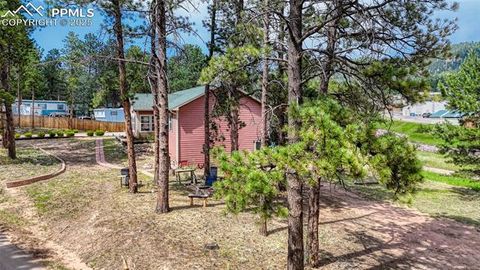 Tiny photo for 1075 S Woodland Avenue, Woodland Park, CO 80863 (MLS # 5056888)
