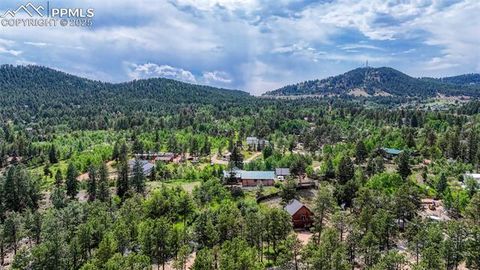 Tiny photo for 1075 S Woodland Avenue, Woodland Park, CO 80863 (MLS # 5056888)