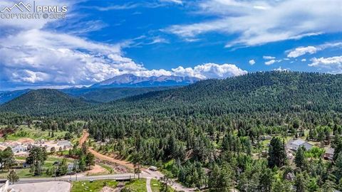 Tiny photo for 1075 S Woodland Avenue, Woodland Park, CO 80863 (MLS # 5056888)