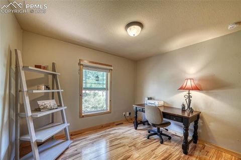 Tiny photo for 1075 S Woodland Avenue, Woodland Park, CO 80863 (MLS # 5056888)