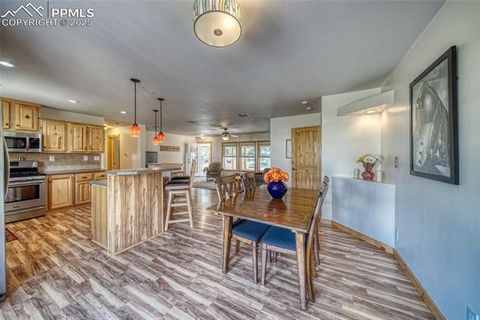 Tiny photo for 1075 S Woodland Avenue, Woodland Park, CO 80863 (MLS # 5056888)