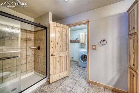 Tiny photo for 1075 S Woodland Avenue, Woodland Park, CO 80863 (MLS # 5056888)