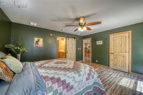 Tiny photo for 1075 S Woodland Avenue, Woodland Park, CO 80863 (MLS # 5056888)