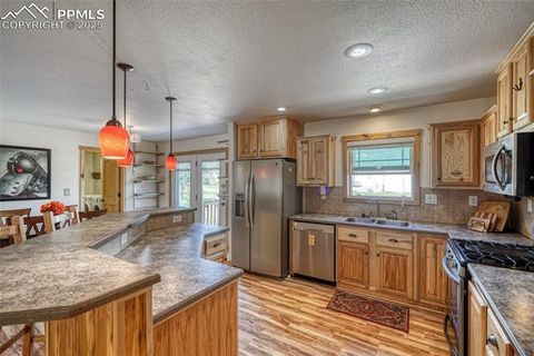 Tiny photo for 1075 S Woodland Avenue, Woodland Park, CO 80863 (MLS # 5056888)