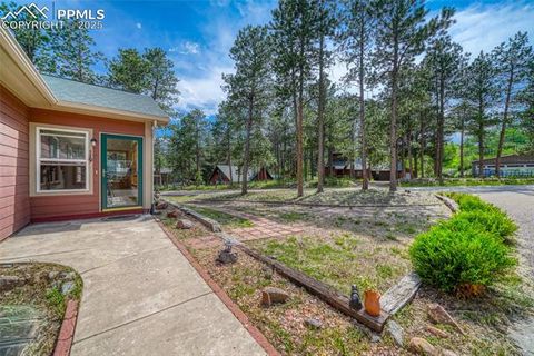 Tiny photo for 1075 S Woodland Avenue, Woodland Park, CO 80863 (MLS # 5056888)