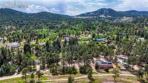 Tiny photo for 1075 S Woodland Avenue, Woodland Park, CO 80863 (MLS # 5056888)