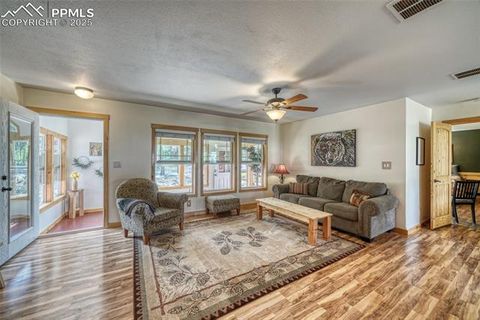 Tiny photo for 1075 S Woodland Avenue, Woodland Park, CO 80863 (MLS # 5056888)