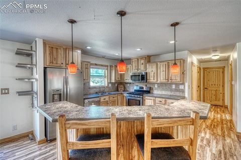 Tiny photo for 1075 S Woodland Avenue, Woodland Park, CO 80863 (MLS # 5056888)
