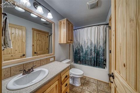 Tiny photo for 1075 S Woodland Avenue, Woodland Park, CO 80863 (MLS # 5056888)