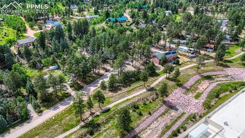 Tiny photo for 1075 S Woodland Avenue, Woodland Park, CO 80863 (MLS # 5056888)