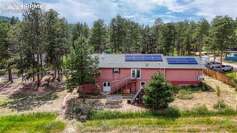Tiny photo for 1075 S Woodland Avenue, Woodland Park, CO 80863 (MLS # 5056888)