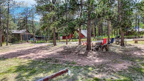 Tiny photo for 1075 S Woodland Avenue, Woodland Park, CO 80863 (MLS # 5056888)