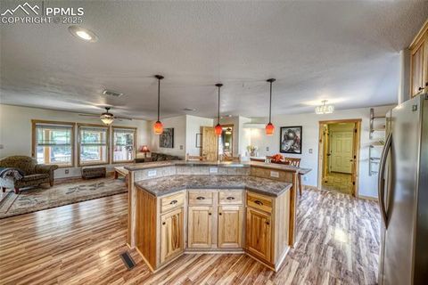 Tiny photo for 1075 S Woodland Avenue, Woodland Park, CO 80863 (MLS # 5056888)