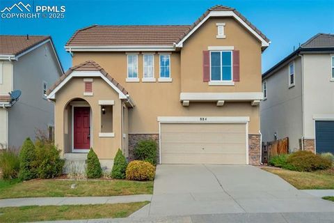 Photo of 884 Diamond Rim Drive, Colorado Springs, CO 80921 (MLS # 4739751)