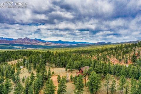 Tiny photo for 2061 Spruce Road, Woodland Park, CO 80863 (MLS # 9197342)