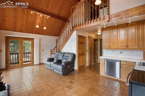 Tiny photo for 2061 Spruce Road, Woodland Park, CO 80863 (MLS # 9197342)