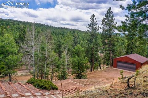 Tiny photo for 2061 Spruce Road, Woodland Park, CO 80863 (MLS # 9197342)