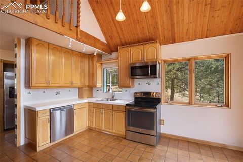 Tiny photo for 2061 Spruce Road, Woodland Park, CO 80863 (MLS # 9197342)