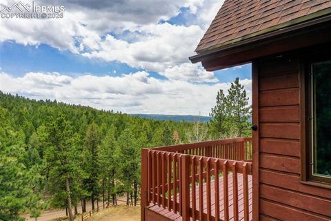 Tiny photo for 2061 Spruce Road, Woodland Park, CO 80863 (MLS # 9197342)