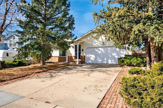 8230 Camfield Circle