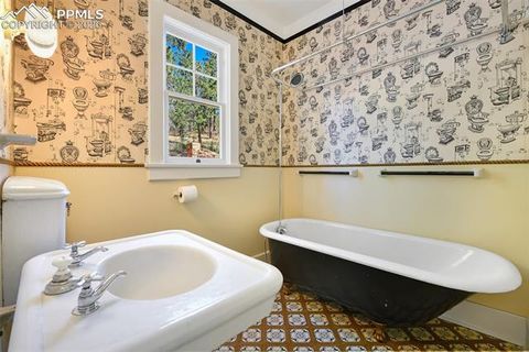 Tiny photo for 4530 Hagerman Avenue, Cascade, CO 80809 (MLS # 9258406)