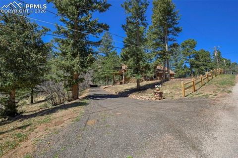 Tiny photo for 4530 Hagerman Avenue, Cascade, CO 80809 (MLS # 9258406)