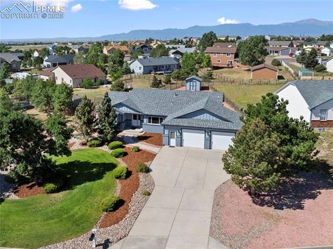 Photo of 9630 Liberty Grove Drive, Peyton, CO 80831 (MLS # 6041799)