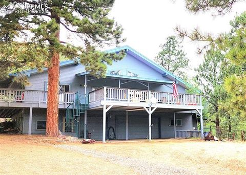 Tiny photo for 305 Comanche Drive, Florissant, CO 80816 (MLS # 5283413)