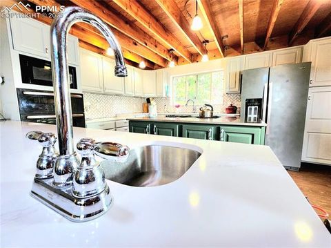 Tiny photo for 305 Comanche Drive, Florissant, CO 80816 (MLS # 5283413)