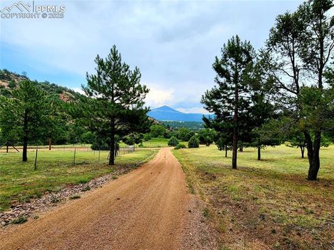 Tiny photo for 305 Comanche Drive, Florissant, CO 80816 (MLS # 5283413)