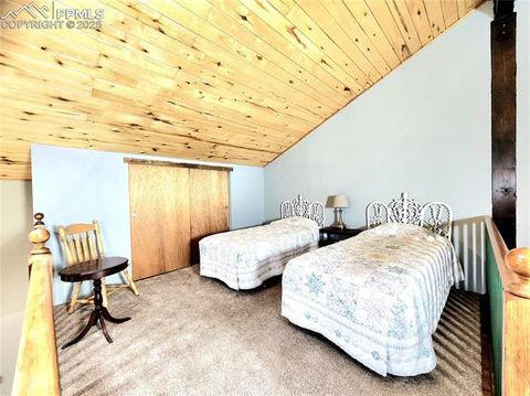 Tiny photo for 305 Comanche Drive, Florissant, CO 80816 (MLS # 5283413)
