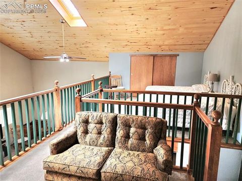 Tiny photo for 305 Comanche Drive, Florissant, CO 80816 (MLS # 5283413)