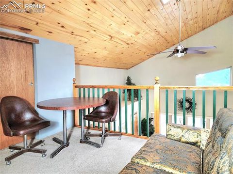Tiny photo for 305 Comanche Drive, Florissant, CO 80816 (MLS # 5283413)
